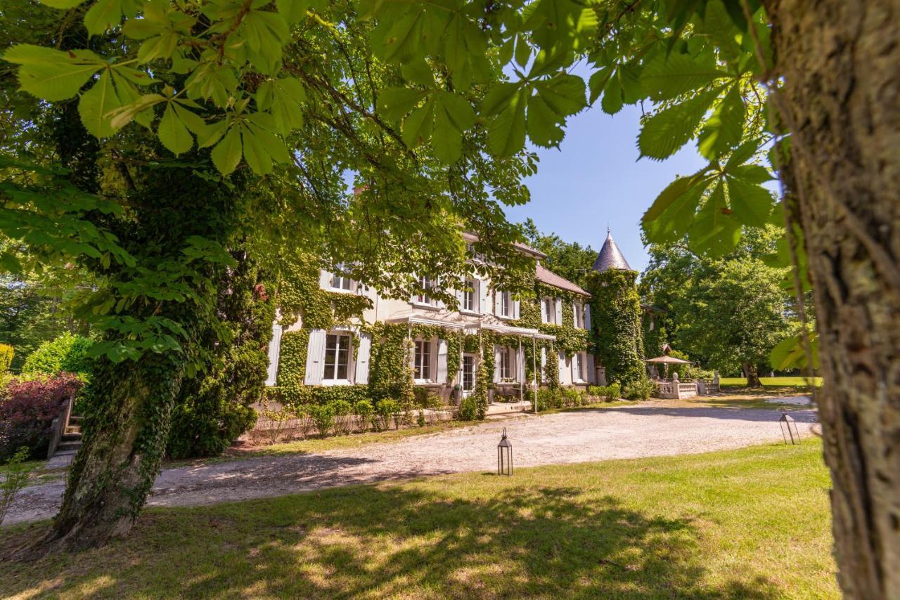 Chateau Des Ayes - Chambres & Suites Saint-Etienne-de-Saint-Geoirs Экстерьер фото