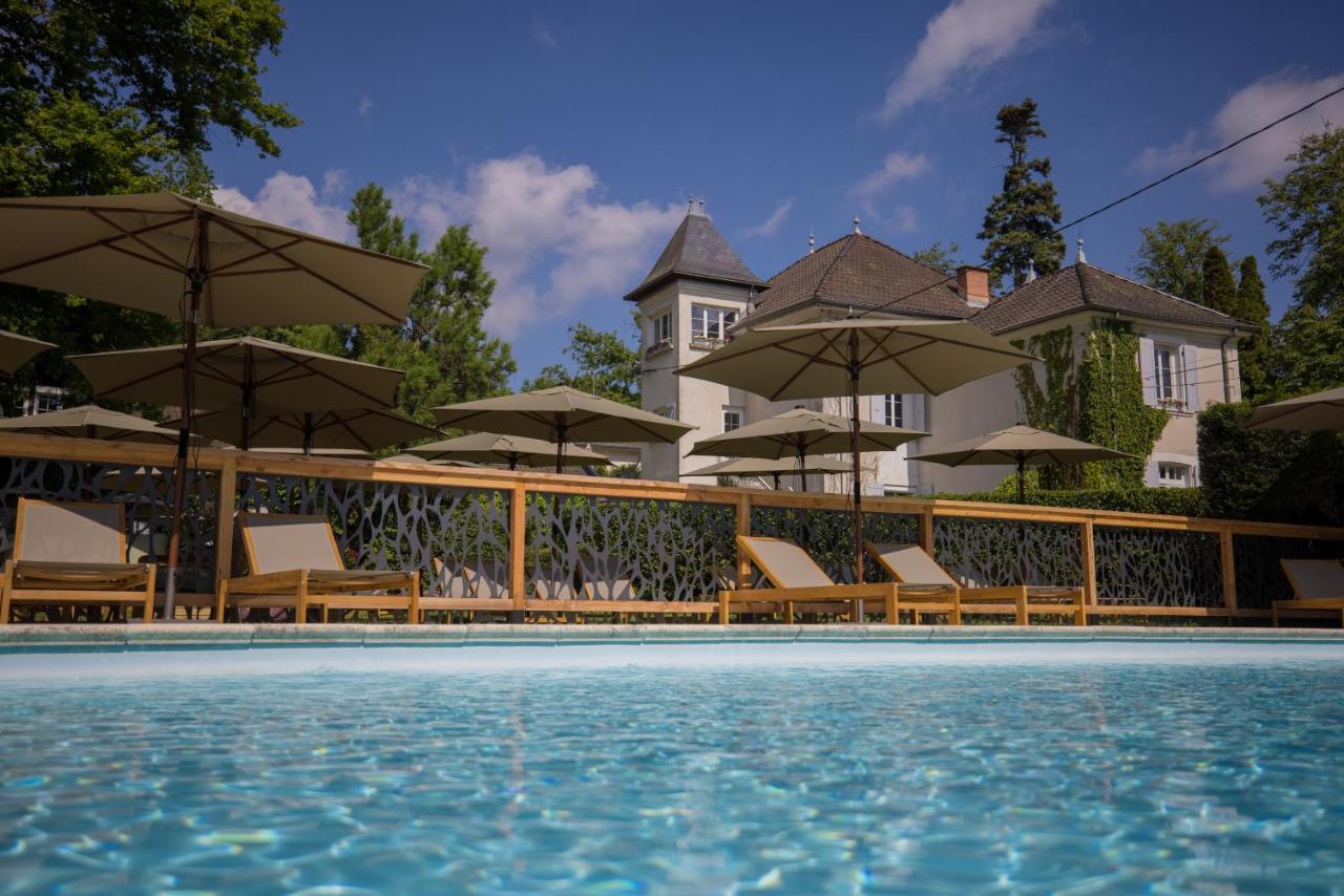Chateau Des Ayes - Chambres & Suites Saint-Etienne-de-Saint-Geoirs Экстерьер фото